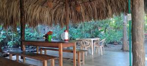 Gallery image of El Viejo del Mar in San Bernardo del Viento +28 photos
