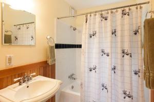a bathroom with a sink and a shower curtain at Daisy's Place 30 day minimum in Hood River +11 photos