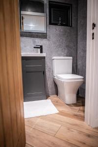 a bathroom with a toilet and a sink at Newydd Lodge with private hot tub in Llangollen