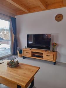 TV a/nebo společenská místnost v ubytování Roubenka Olešná na Moravě
