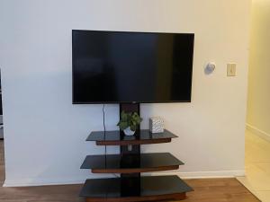Μια τηλεόραση ή/και κέντρο ψυχαγωγίας στο Spacious Updated 1 Bedroom Apartment