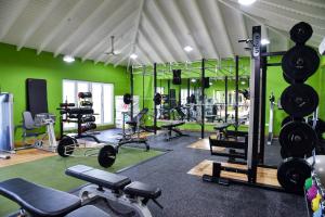 Fitness centrum a/nebo fitness zařízení v ubytování The White House