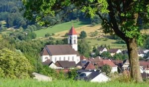 a small town with a white church with a steeple at Metzgereigasthof Rebstock in Münchweier