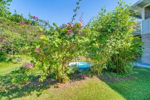 Garður fyrir utan Keaau Apartment on Beautiful Acre with Pool and Deck!