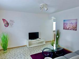 TV a/nebo společenská místnost v ubytování Apartment River