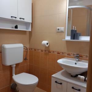 Koupelna v ubytování Bródy 51 53 Apartman + 69 fotografií