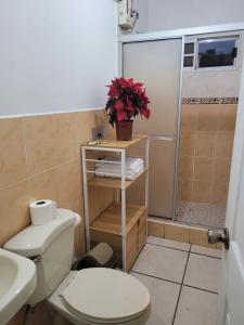 Vannituba majutusasutuses Practico y accesible