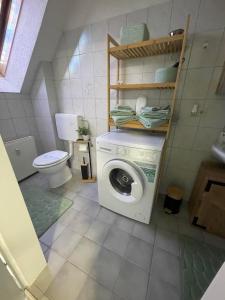 un bagno con lavatrice e WC di Alpenliebe a Windischgarsten