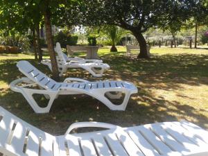 Ogród w obiekcie Hotel La Costera