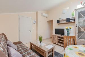 a living room with a couch and a table at Modernes Apartment mit traumhafter Aussicht, Pool, Privatparkplatz, WiFi in Pazin