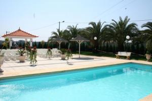 una piscina en un patio con árboles y sombrillas en Hotel Joao Capela, en Aveiro