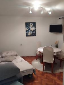 TV a/nebo společenská místnost v ubytování Studio apartman Lilijana + 7 fotografií