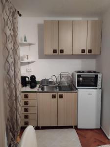Kuchyň nebo kuchyňský kout v ubytování Studio apartman Lilijana