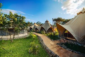 a row of tents in a field of grass at Eco Luxe Glamping Tent - 2 Queen Beds at Holos in Barú
