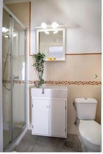 エステポナにあるApartamento Céntrico en Esteponaのトイレ、洗面台、シャワー付きのバスルーム