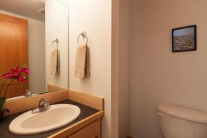 a bathroom with a sink and a toilet at Venturi 30 Day in Hood River +7 photos
