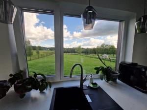 a kitchen sink with a window overlooking a green field at Purjemaja in Otepää