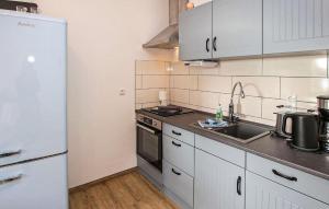 マルヒョーにある1 Bedroom Amazing Apartment In Malchowの白い冷蔵庫とシンクのあるキッチン