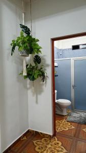 a bathroom with a toilet and a hanging plant at Tunco Beach apartment with AC and pool by Madriguera in La Libertad +11 photos