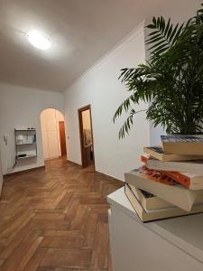 salon z doniczką na wierzchu książek w obiekcie Home To Fly w mieście Neapol