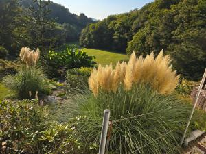 a garden with tall grass and a pond at Ferienwohnung-Pension Osterwiese in Weilburg +7 photos