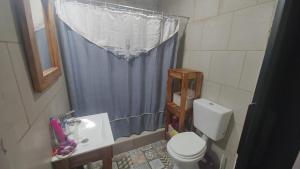 a bathroom with a blue shower curtain and a toilet at La Arbolada in Mar del Plata +11 photos