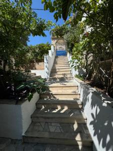 a set of stairs with a blue door on top at Apartments Villa Suzana Including Private Pool in Selca