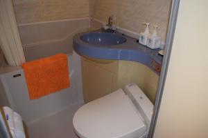 a small bathroom with a toilet and a sink at Pension Surf Rider in Nishiizu +24 photos
