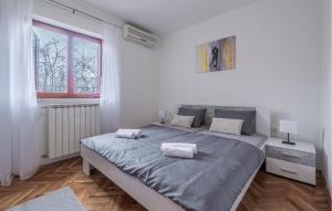 una camera con un grande letto e due finestre di 2 Bedroom Pet Friendly Home In Lazarici a Potpićan
