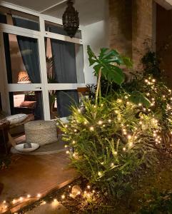 Zahrada ubytování Suite con giardino Ravenna