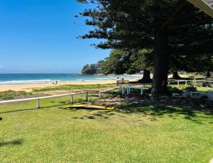 a tree and a surfboard on the grass near a beach at Bahia by the Beach in Avoca Beach