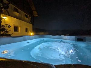 een hot tub met blauw water in de nacht bij Natur Appartments Riesen in San Lorenzo di Sebato
