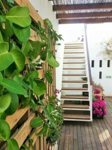 Jardín al aire libre en Exclusiva casa con encanto en Agua Amarga