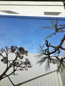 Imagen de la galería de Exclusiva casa con encanto en Agua Amarga, en Agua Amarga