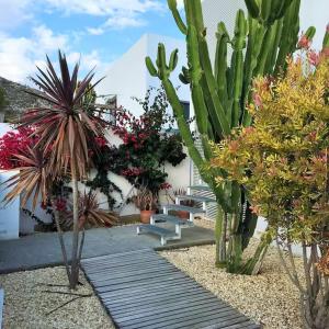 Jardín al aire libre en Exclusiva casa con encanto en Agua Amarga