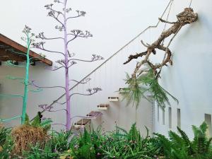 Jardín al aire libre en Exclusiva casa con encanto en Agua Amarga
