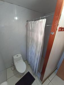 een badkamer met toilet en douchegordijn bij Cabañas y Agroturismo El Trolofken in Pocuno +12 foto's
