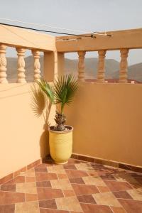 Foto dalla galleria di Tayafut ApartmentTerrace a Mirleft