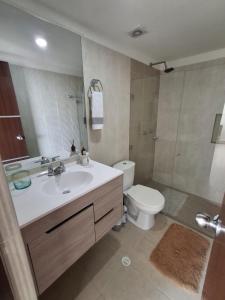 a bathroom with a sink and a toilet and a shower at APARTAHOTEL Jova in San Gil