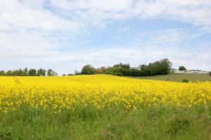 Naturlandschaft in der Nähe der Ferienwohnung