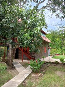 une maison avec un manguier devant elle dans l'établissement Cabaña tipo chalet, à Morelia