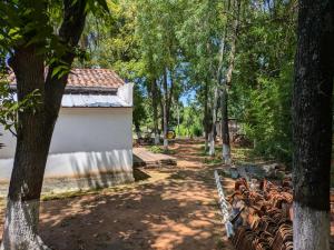 Zahrada ubytování Un Oasis Natural a Minutos de Asunción