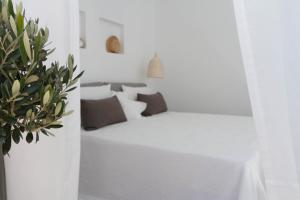 a white room with a bed and a potted plant at Apartments Enosis, Alia in Agios Prokopios +14 photos
