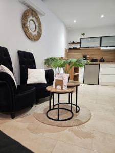 Kuchyň nebo kuchyňský kout v ubytování Appartement SPA - W&M Suite