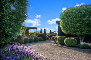 Zahrada ubytování Villas Waiheke