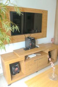 TV a/nebo společenská místnost v ubytování Agradable depto en Asunción