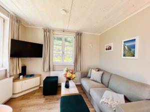 een woonkamer met een bank en een tv bij Ferienhaus Reetblick 23 Feriendorf Klein Stresow Rügen by ruyastay in Putbus