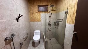 ein Badezimmer mit Dusche und Toilette in der Unterkunft Hotel Conguillío in Melipeuco + 17 Fotos