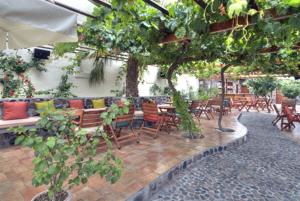 Vonkajšia záhrada v ubytovaní Pelican Hotel