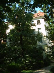 a large tree in front of a white building at Park Vendégház in Kecskemét